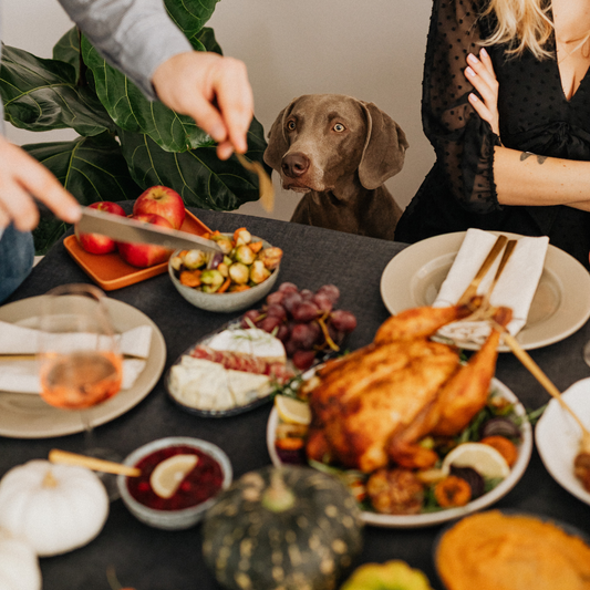 Thanksgiving Table Treats: What Pets Should Avoid