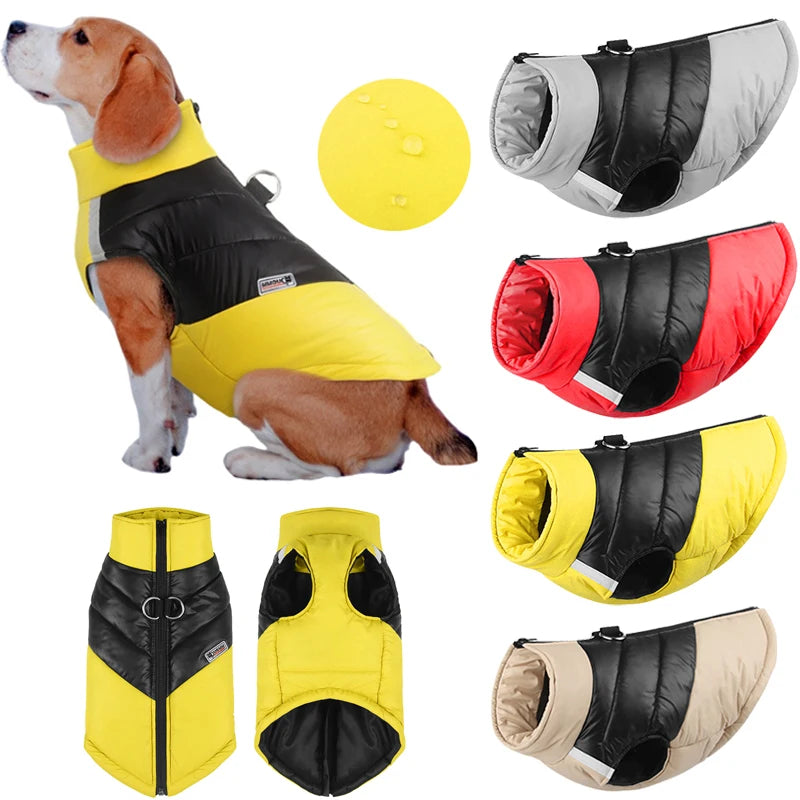 Color Block Dog Vest -  4 colors