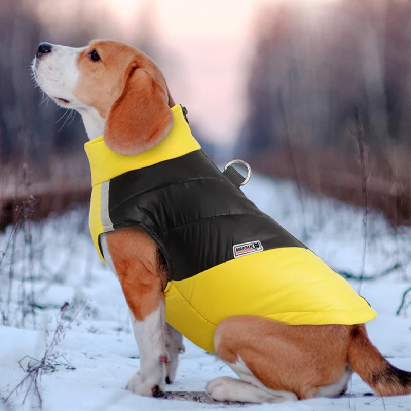 Color Block Dog Vest -  Yellow side