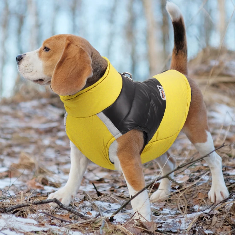 Color Block Dog Vest -  front side