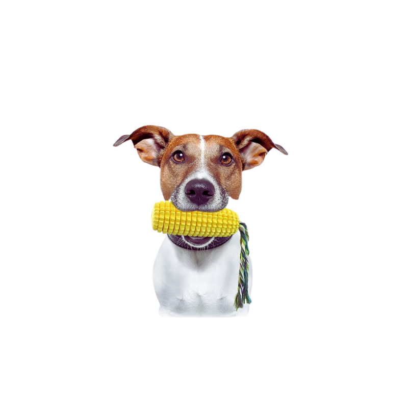 Corn_Chew_Dog_Toy_3