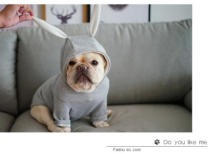 Bunny Ears Hoodie