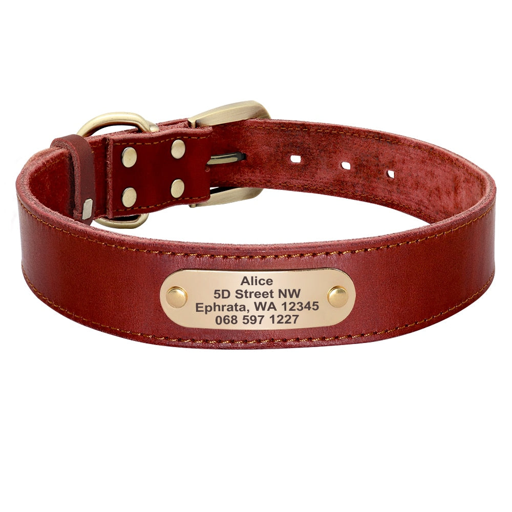 Personalized Handmade Leather Collar And Leash Set