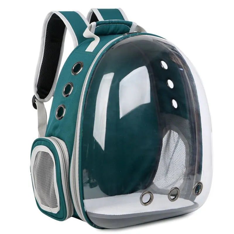 Transparent Pet Carrier
