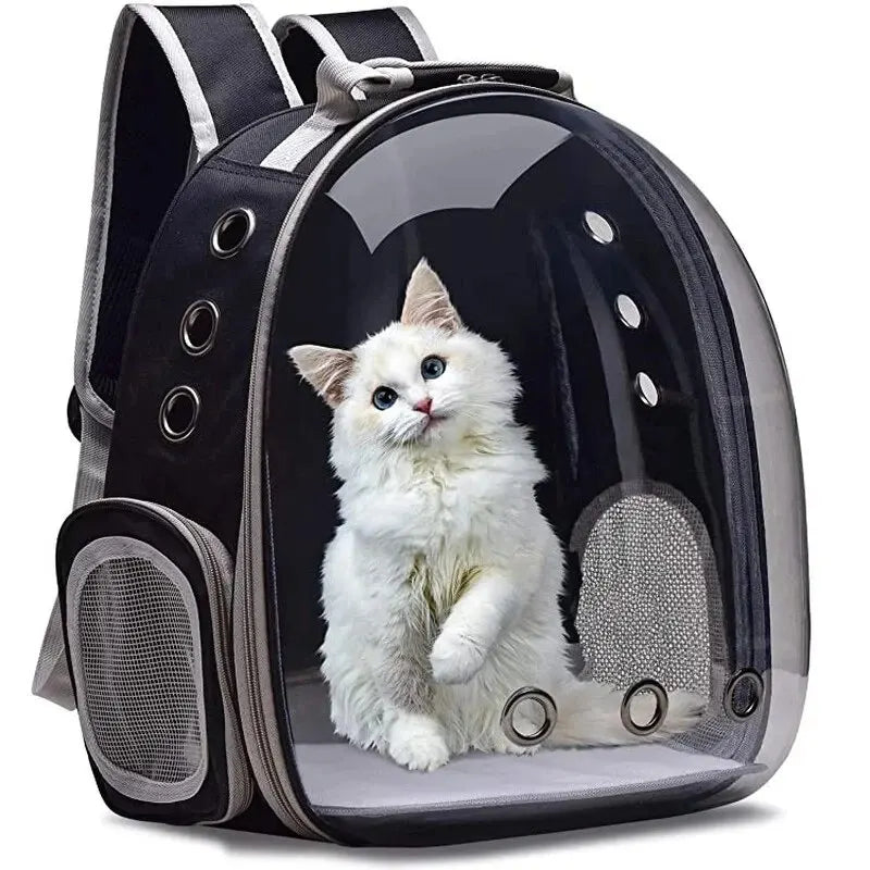 Transparent Pet Carrier
