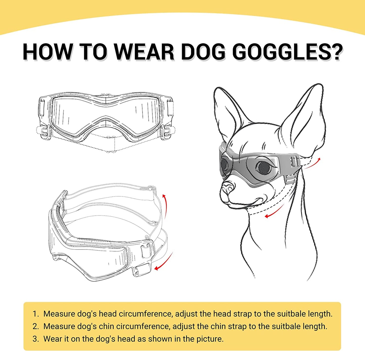 Doggy Goggles