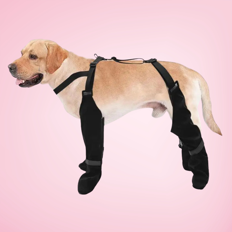 Suspender Pet Boots