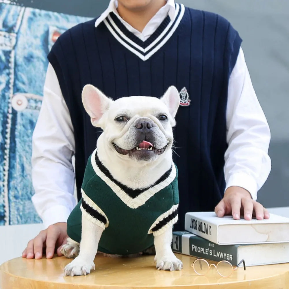 The Ivy Pet Pullover - Green 1