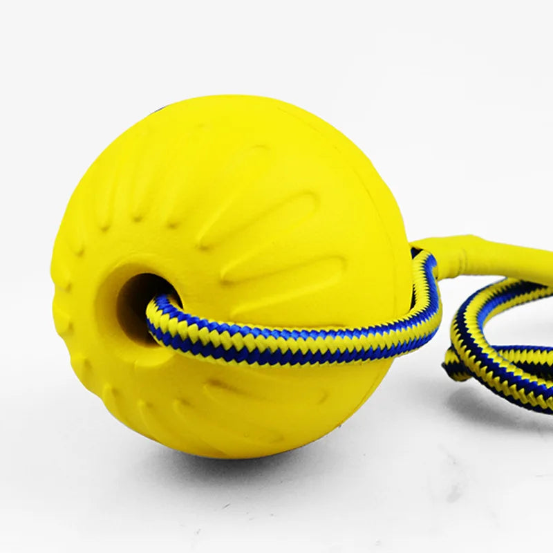 Tug-N-Ball Dog Toy - ball close-up
