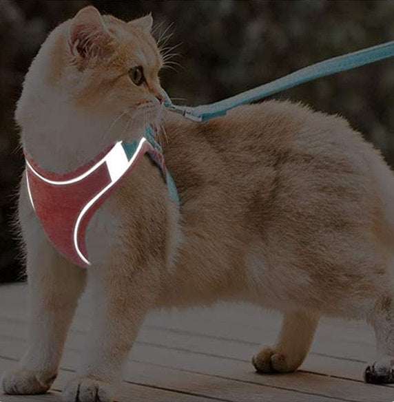Colorful Pet Harness