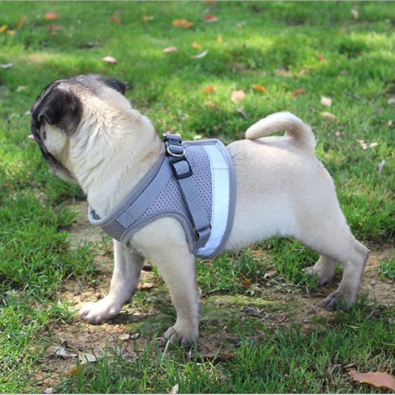 Adjustable Velcro Harness