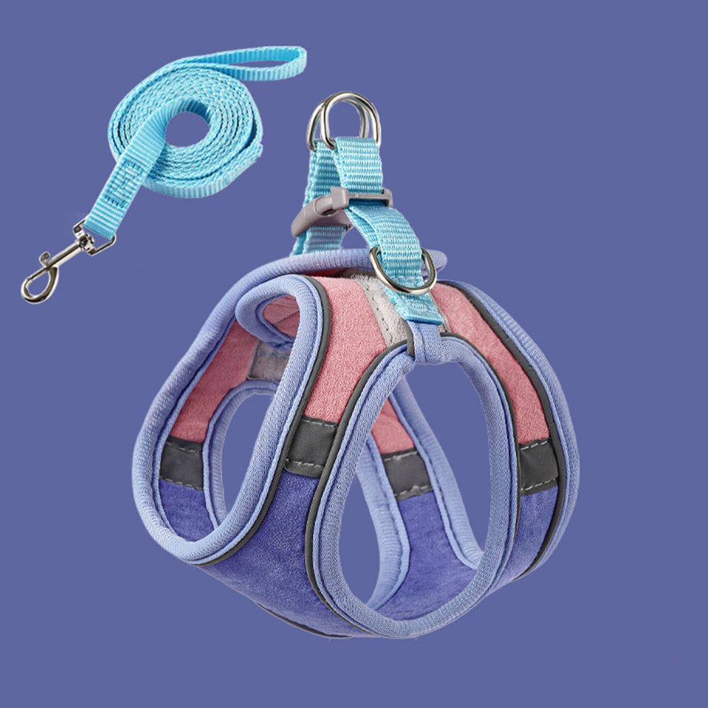Colorful Pet Harness