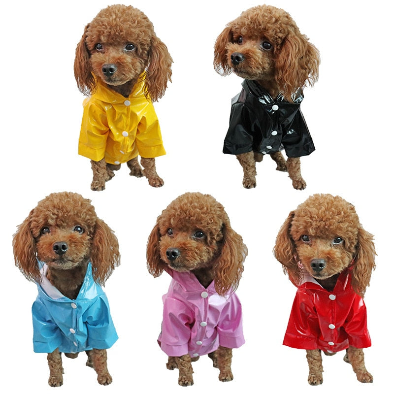 Shiny Doggy Rain Slicker