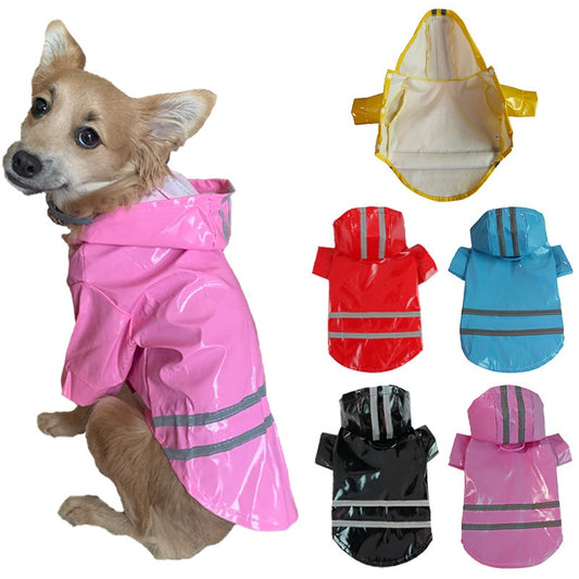 Shiny Doggy Rain Slicker