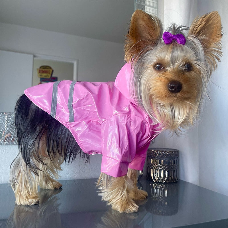 Shiny Doggy Rain Slicker