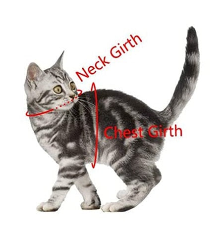 Colorful Pet Harness