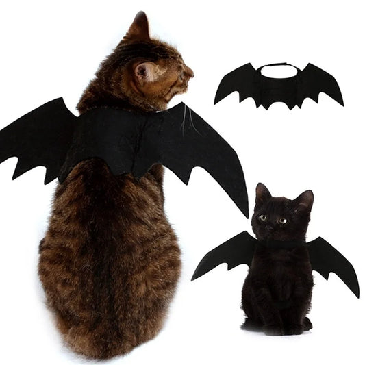 Bat Wings Harness 1