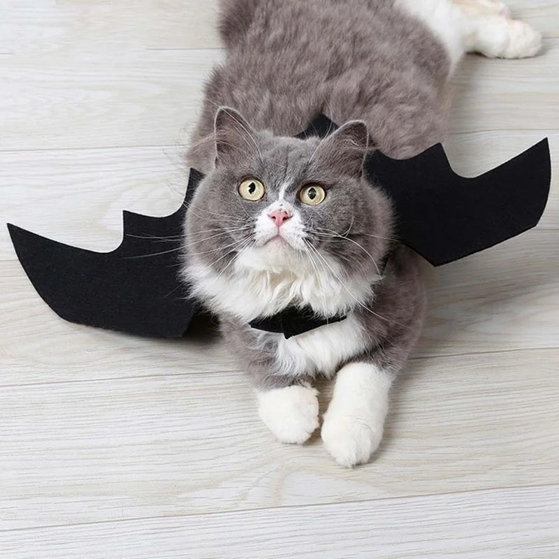 Bat Wings Harness 5