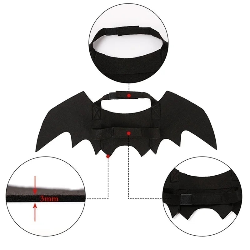 Bat Wings Harness 6