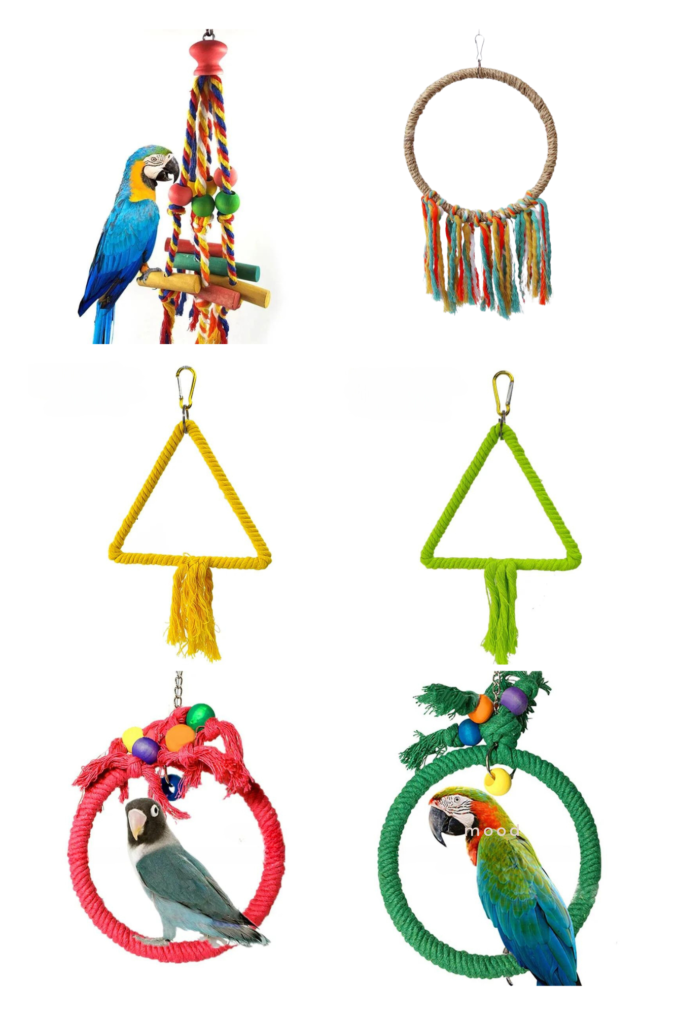 Bird Hanging Around Toys