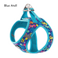 Whimsical Print Pet Harness - Blue Atoll