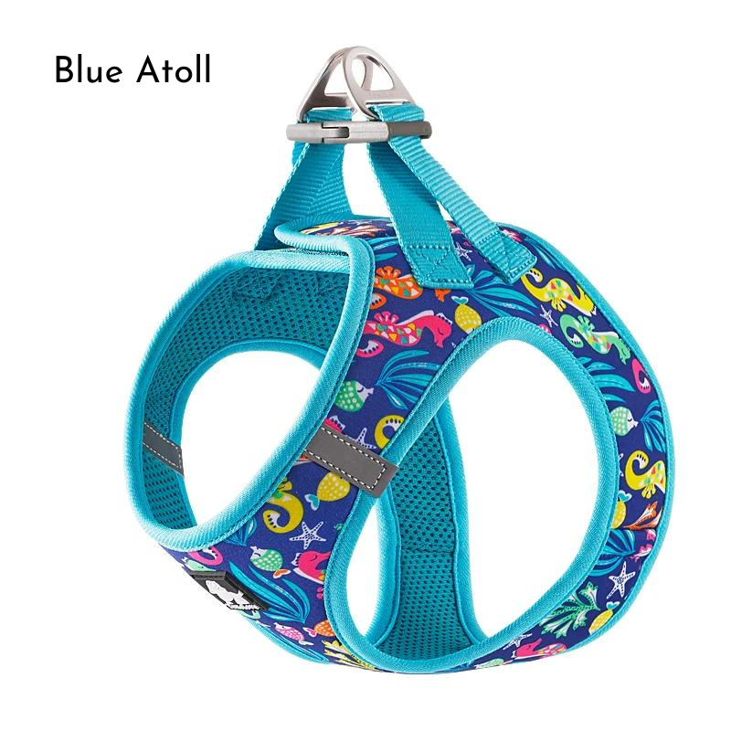 Whimsical Print Pet Harness - Blue Atoll