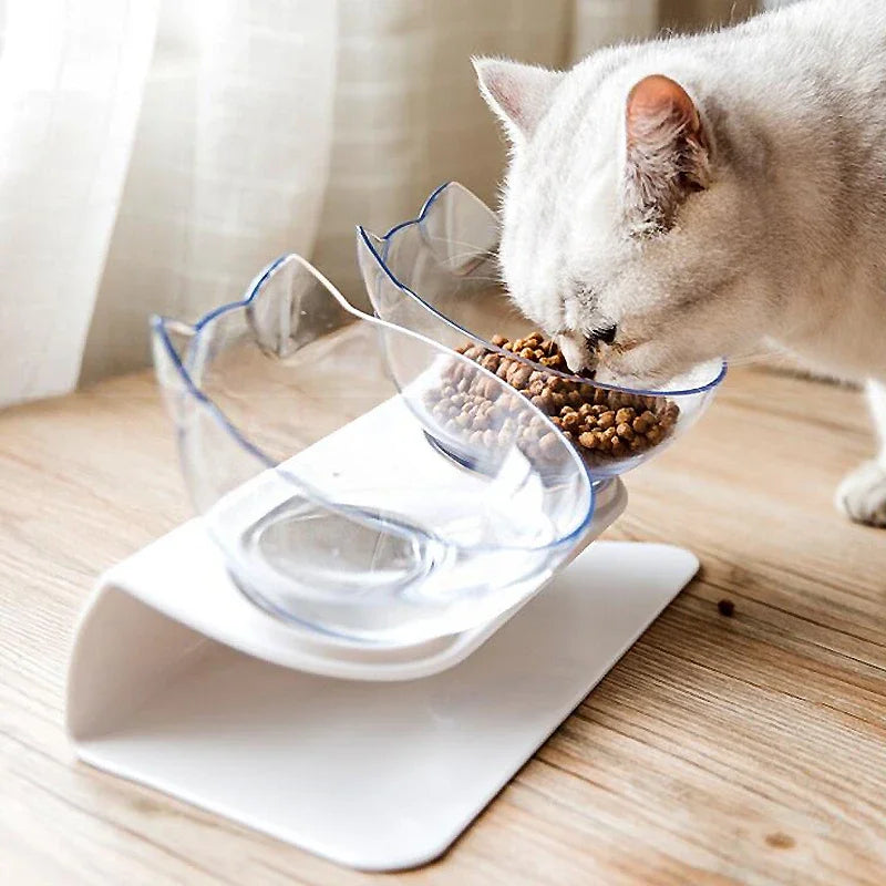 Cat-Tastic Bowls - Double Transparent