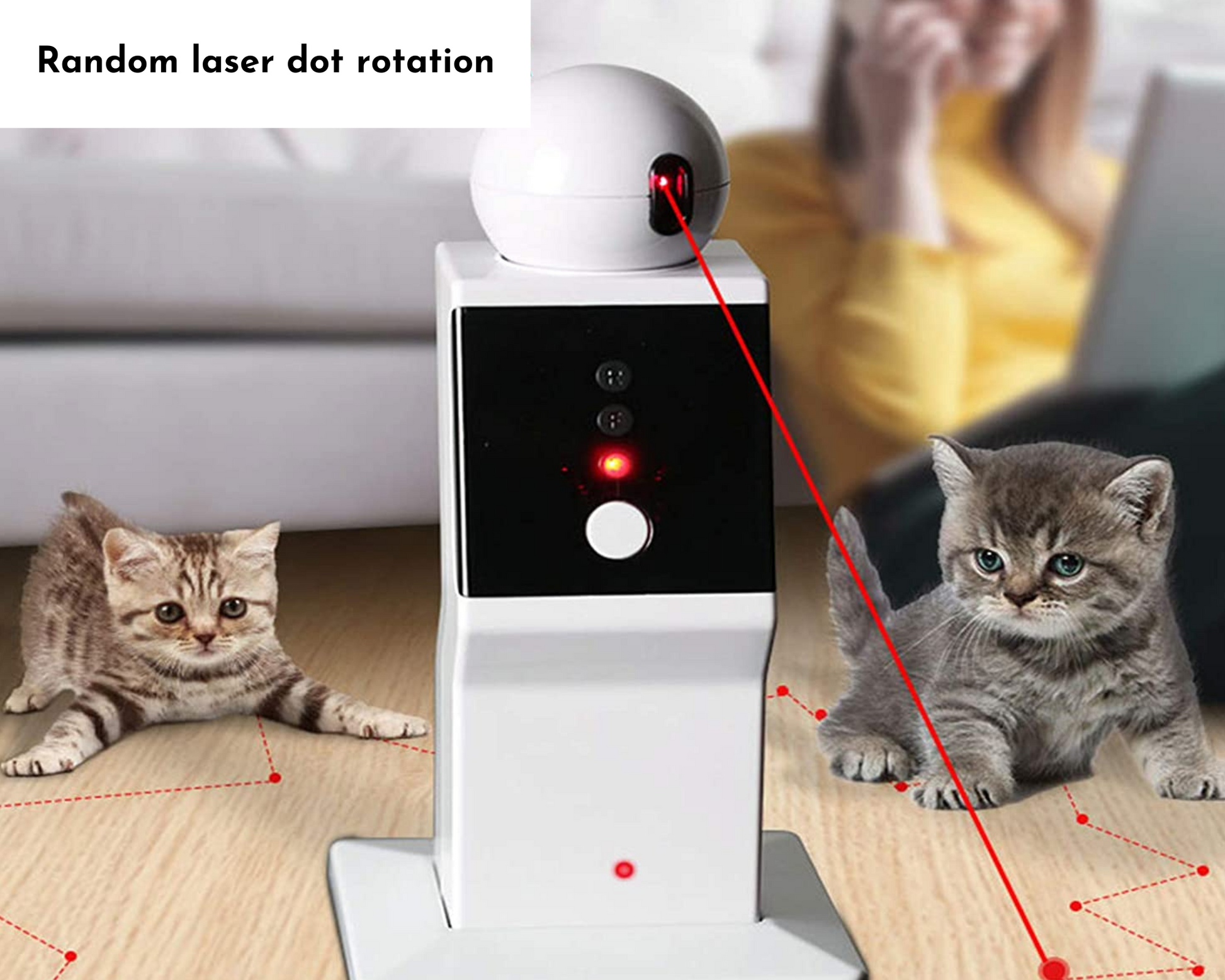 Cat Laser Pointer Toy