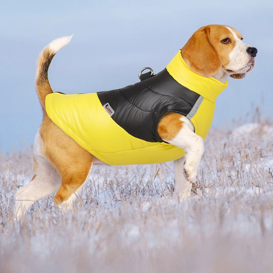 Color Block Dog Vest