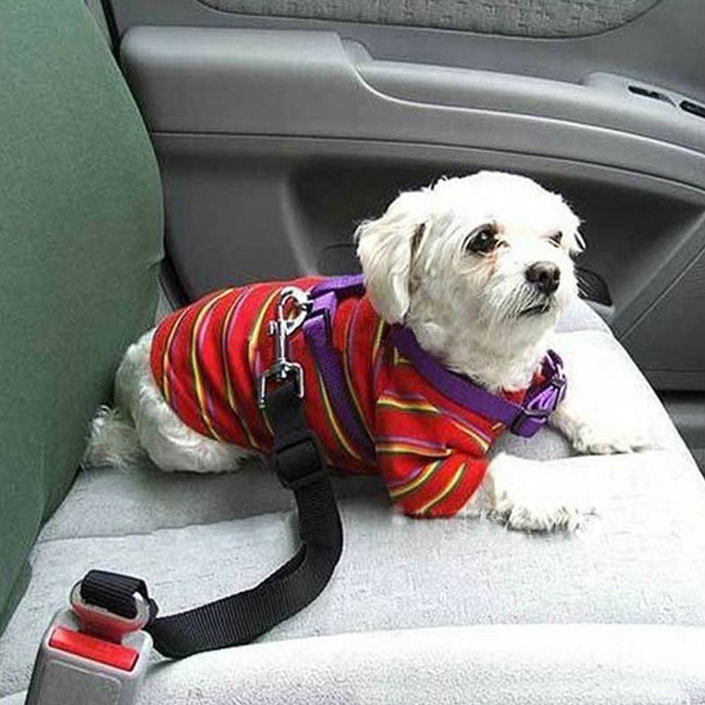 Pet Seat Belt