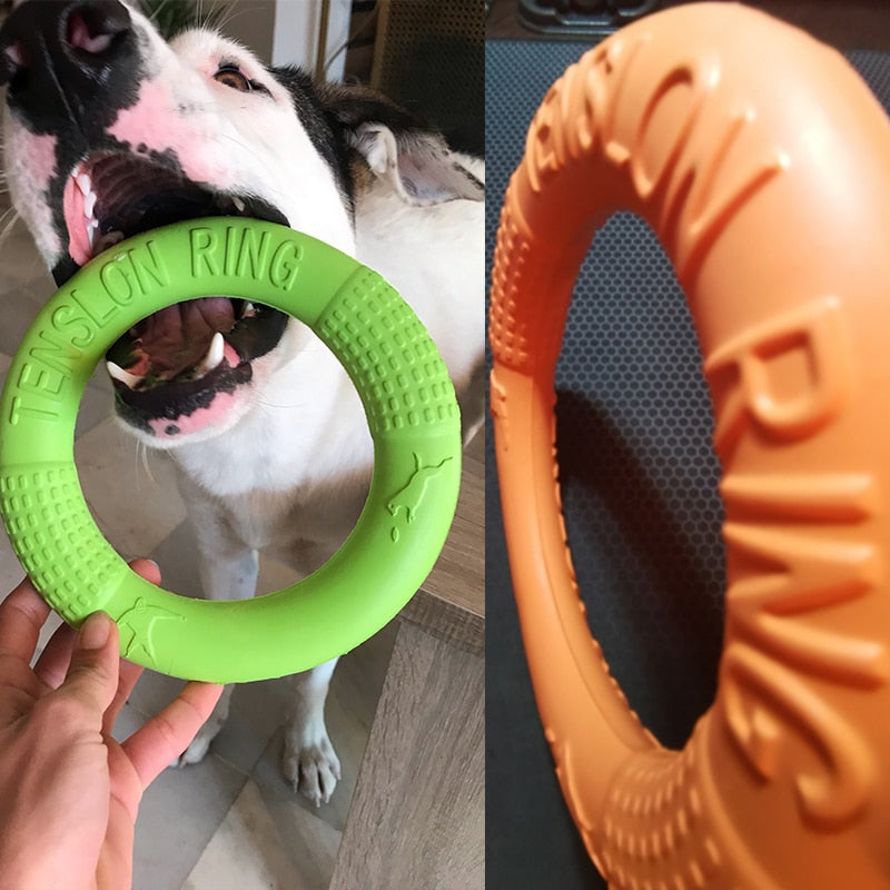 Dog Training Ring