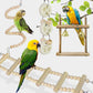 Bird Cage Toy Set