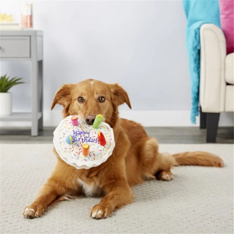 Birthday-Themed Squeaky Toys