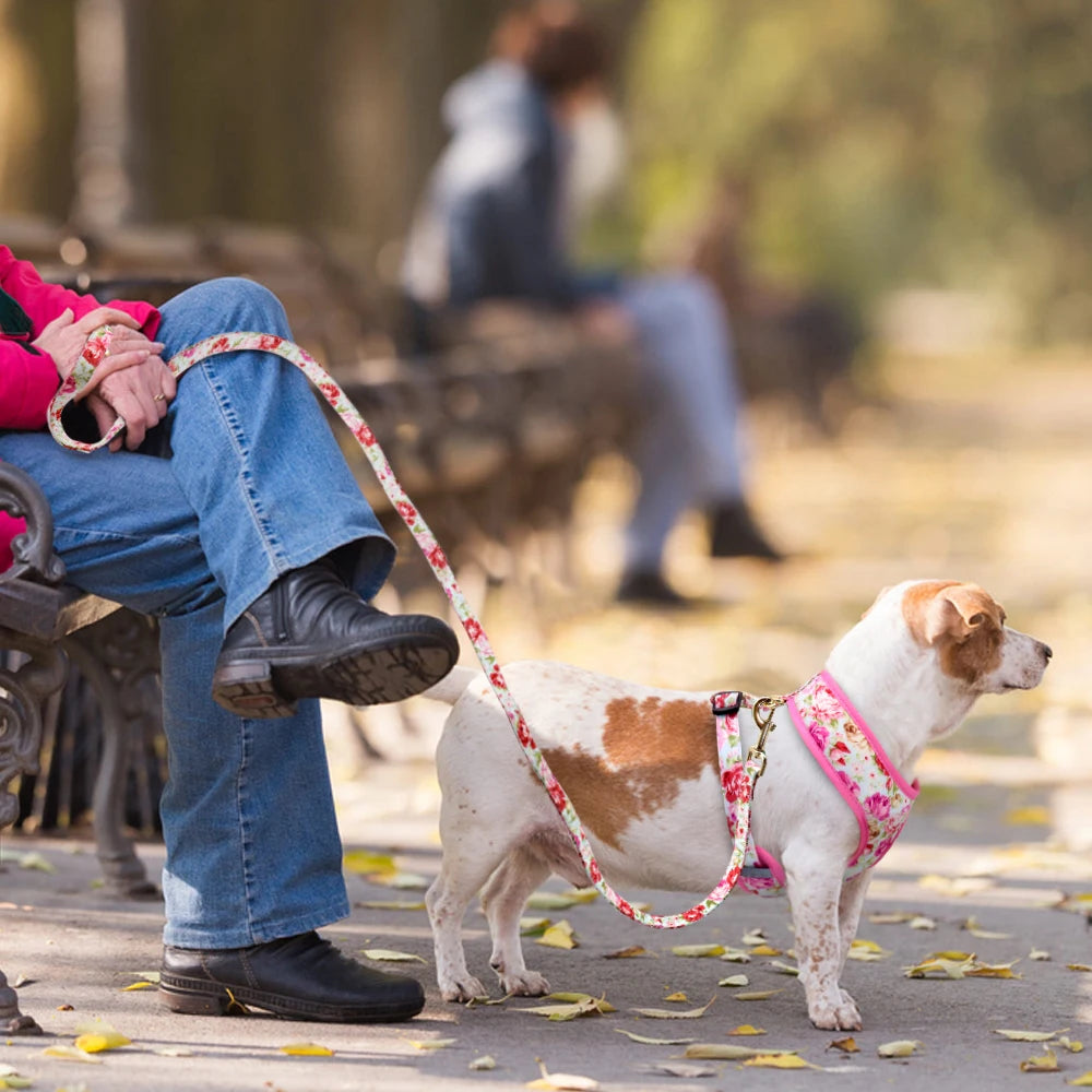 Floral Pet Harness