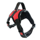 Large Dog Harness