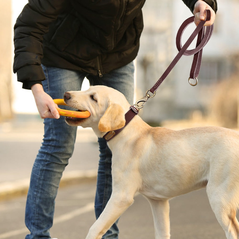 Personalized Handmade Leather Collar And Leash Set