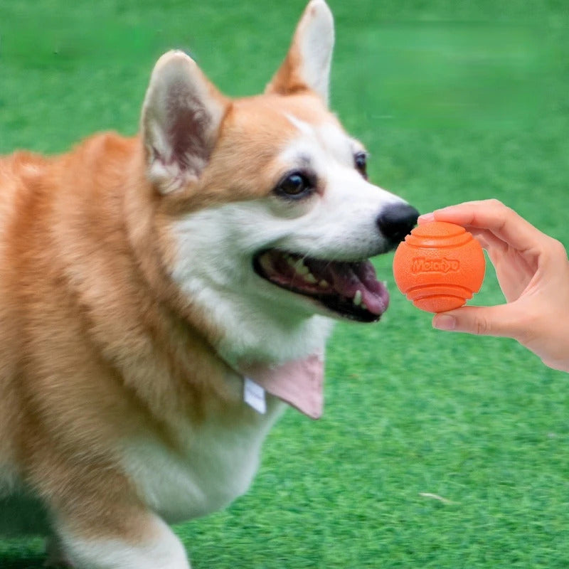 Indestructible Chewy Ball