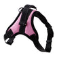 Large Dog Harness