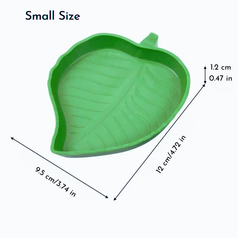 Leaf Reptile Dish