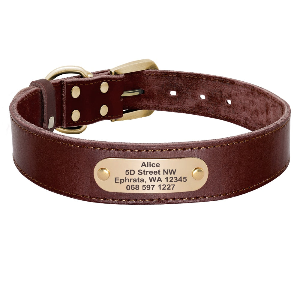 Personalized Handmade Leather Collar And Leash Set