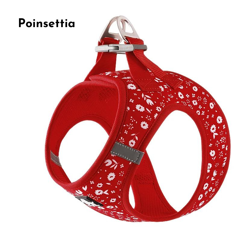 Whimsical Print Pet Harness - Poinsettia