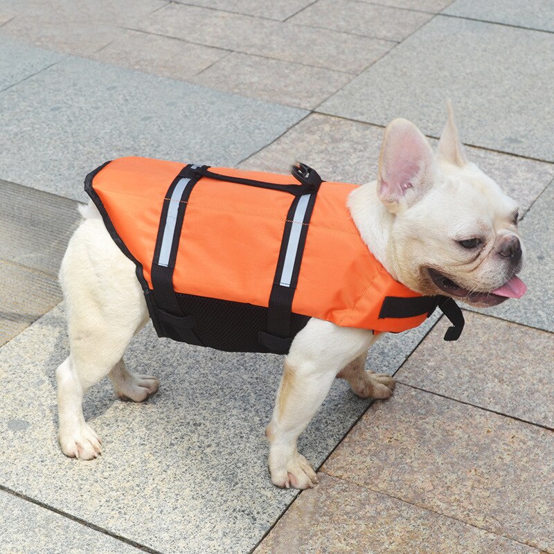 Life Jacket