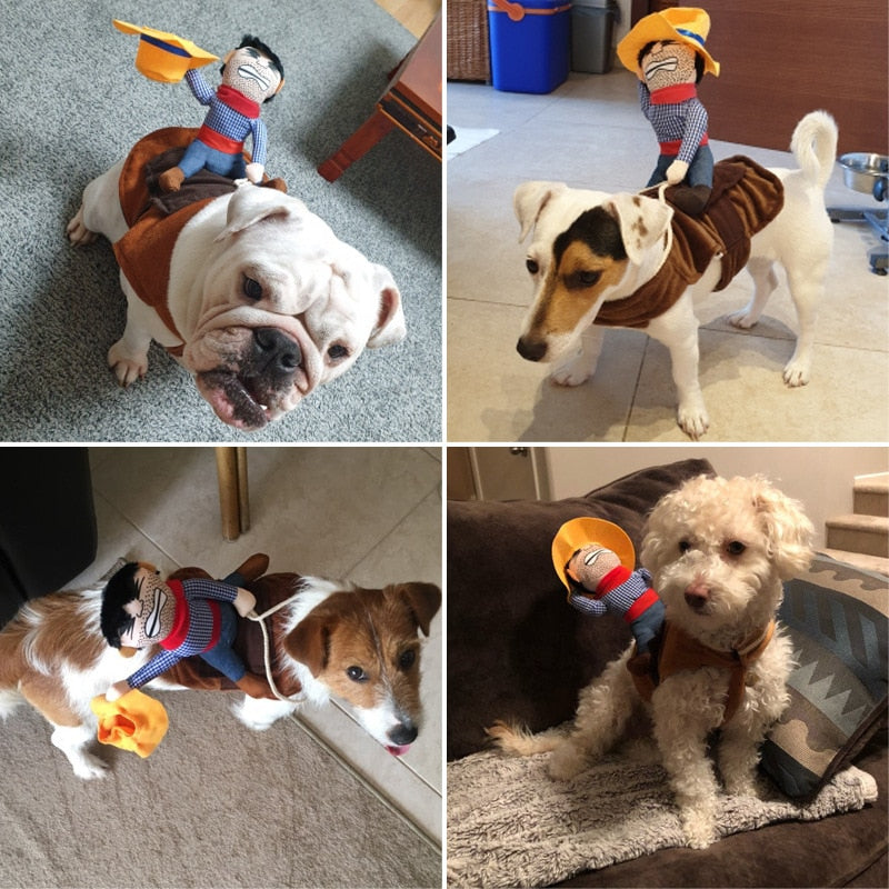 Funny Pet Costumes