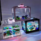 Small Fish Tank With LED Lights 