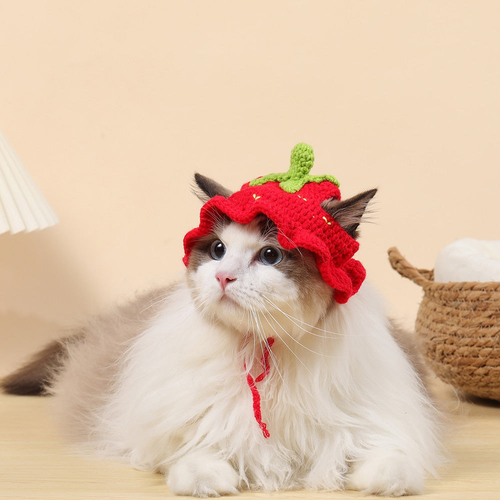 Handmade Knit Hat for Cats - Strawberry