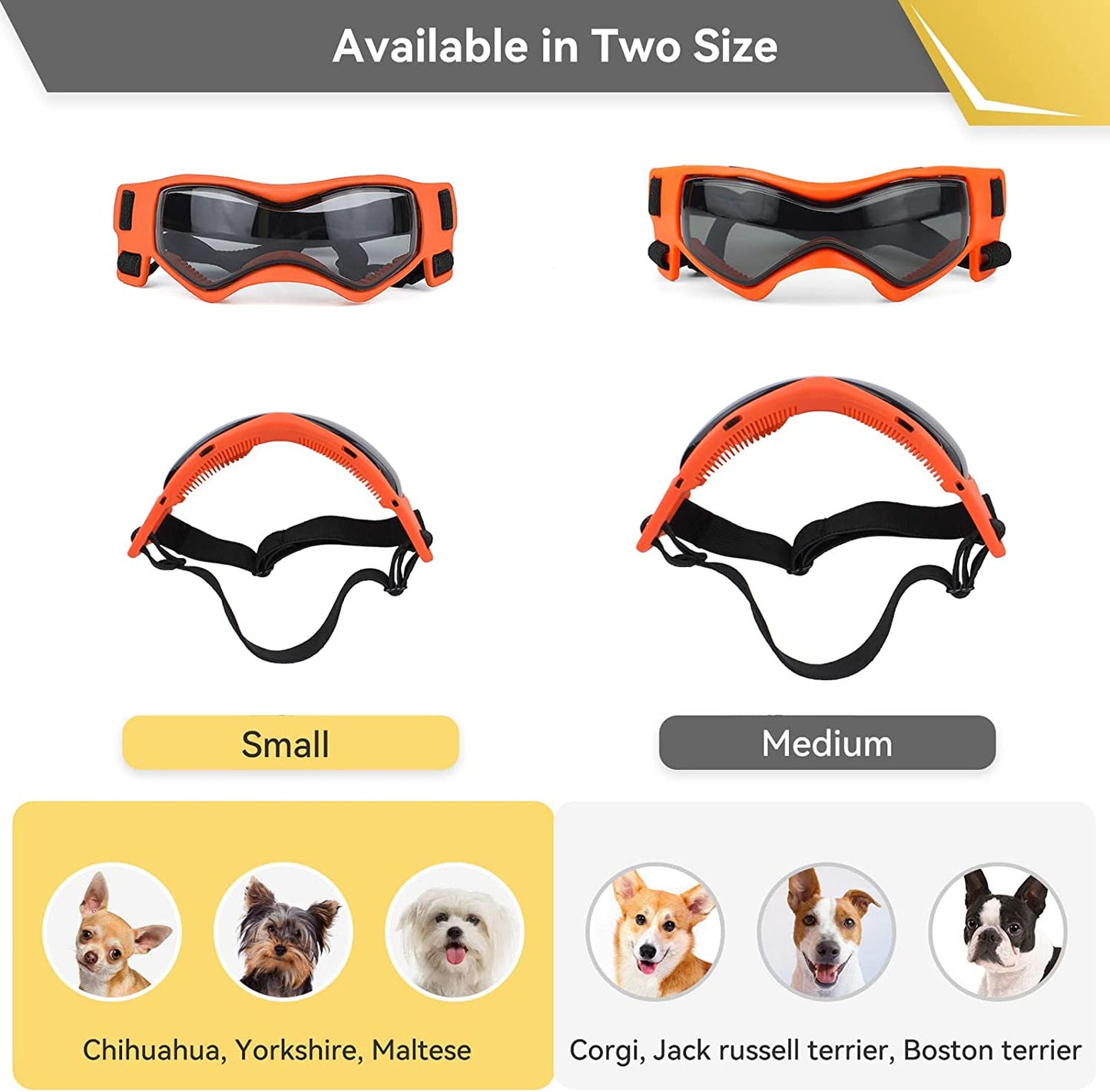 Doggy Goggles