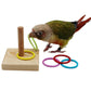 Bird Training Toy Set