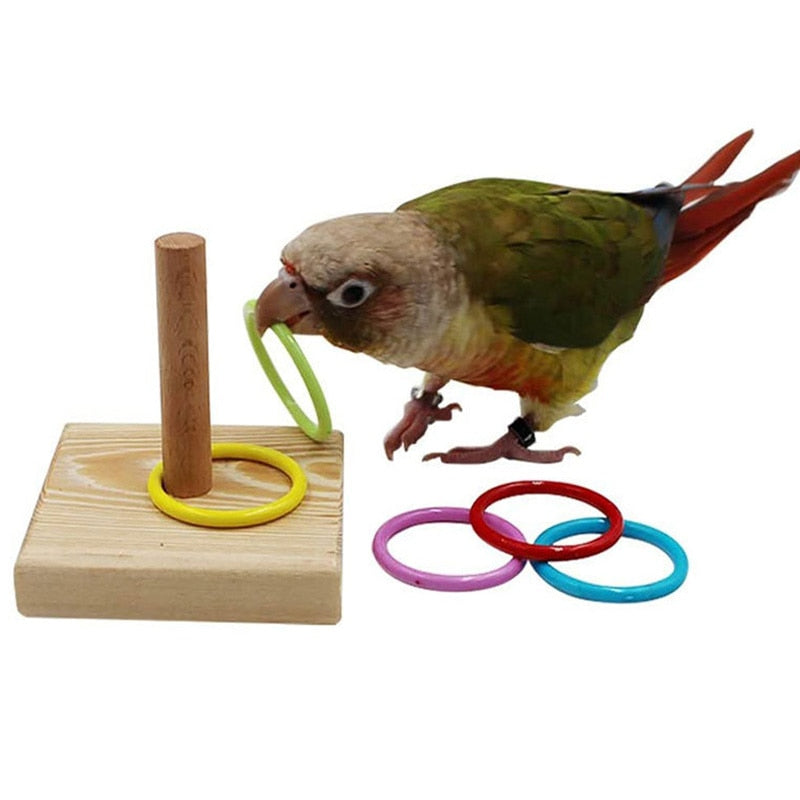 Bird Training Toy Set