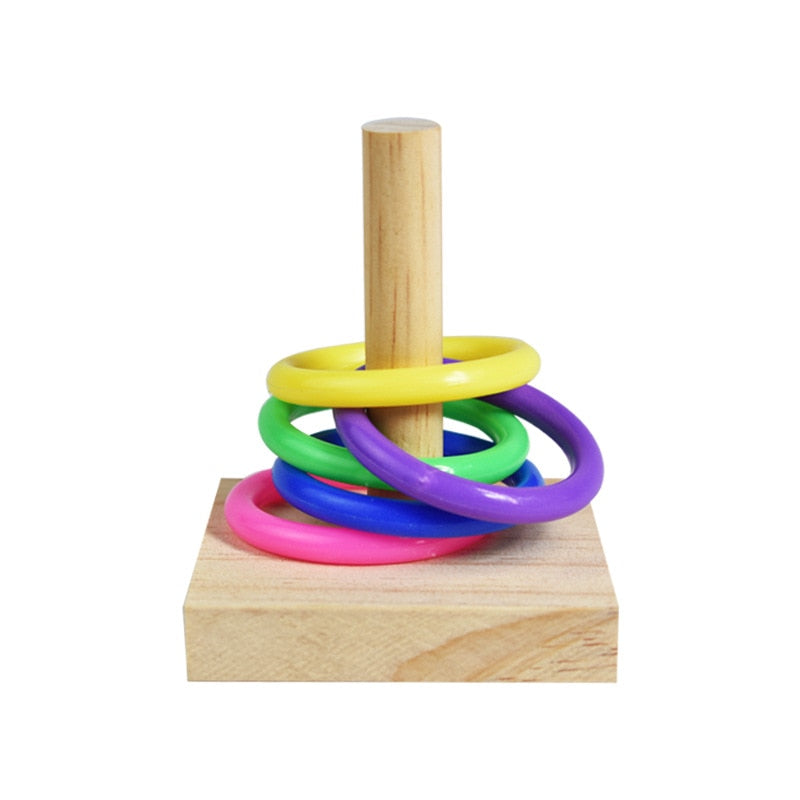 Bird Training Toy Set