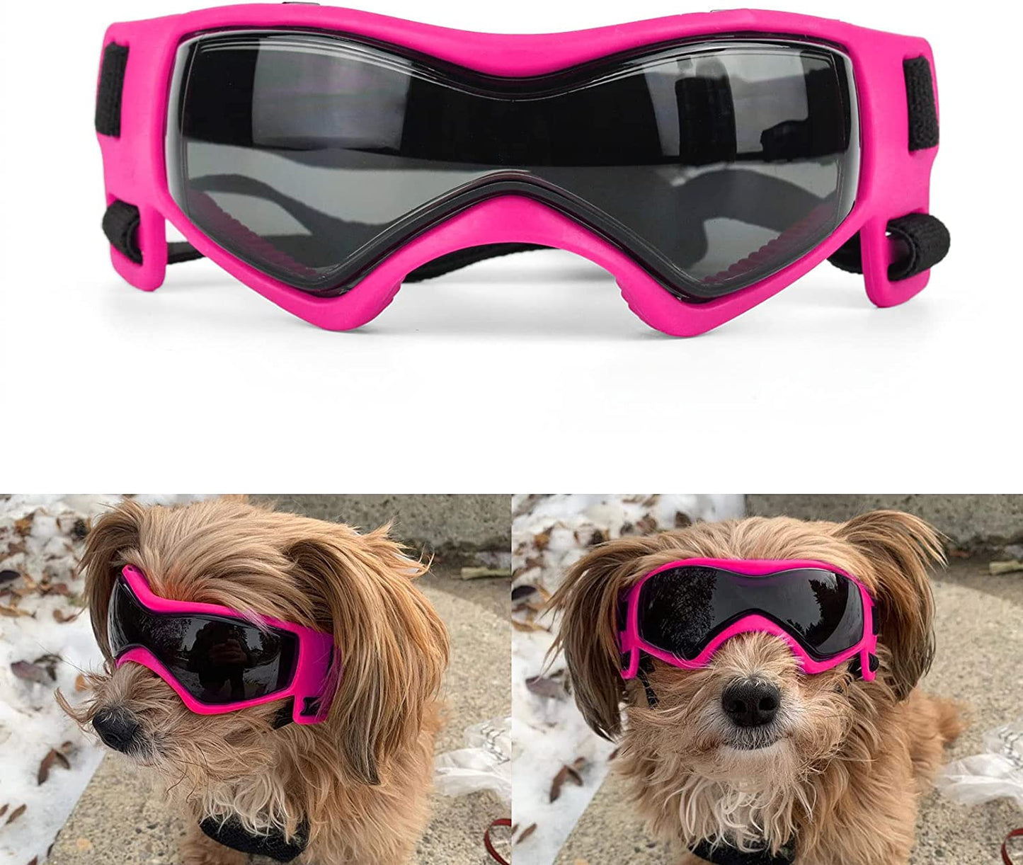 Doggy Goggles